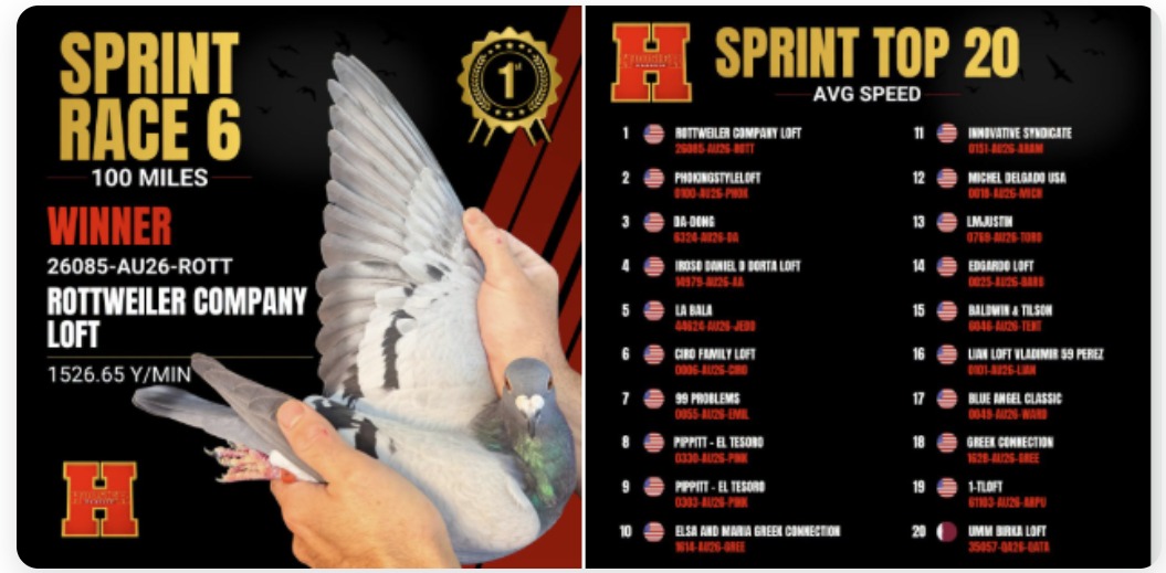Sprint Race 6, 100 millas: ganador Rottweiler Company Loft con 26085-AU26-ROTT a 1,526.65 y/min, y Sprint Top 20 del Hoosier Classic 2026